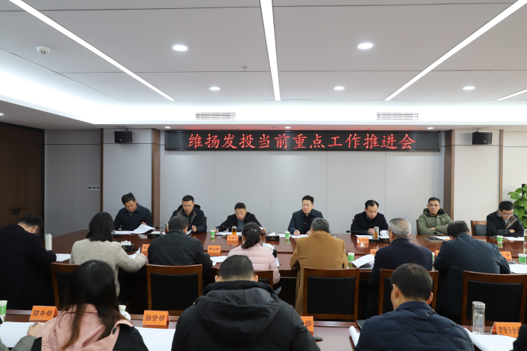 “五拓五促”抓當前 確保打贏(yíng)收官戰——維揚發(fā)投召開(kāi)當前重點(diǎn)工作推進(jìn)會(huì )