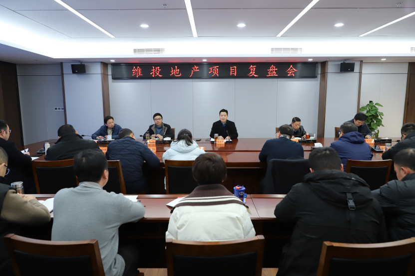 錘煉核心競爭力 打造區域領(lǐng)先地產(chǎn)國企標桿——維投地產(chǎn)召開(kāi)項目復盤(pán)會(huì )